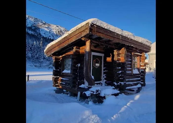Σπίτι διακοπών Cozy Little Log Cabin, Dog Allowed, Sauna Aseral